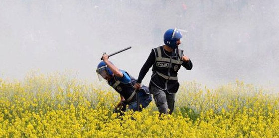 Feuille-ton été : LA PERFIDIE DE LA MAUVAISE HERBE 1/4